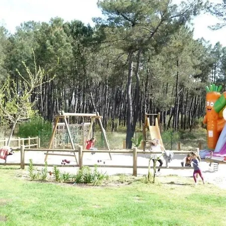 Zecamping 4 Etoiles Anime Chiens Acceptes Familial Piscine Couverte