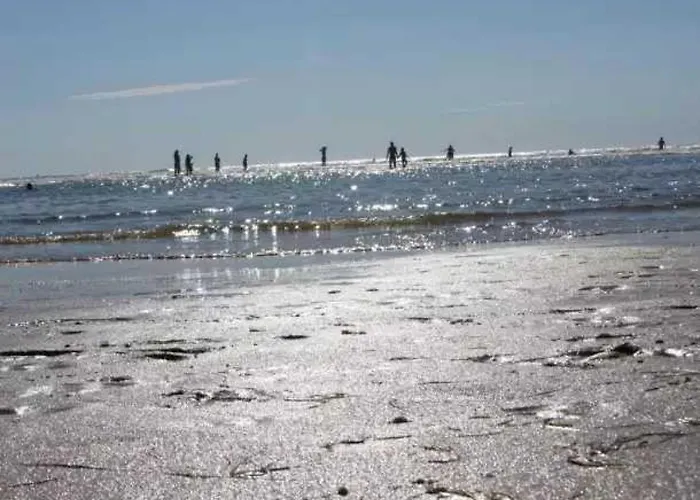 Camping 4 étoiles - Piscine - eebe0d