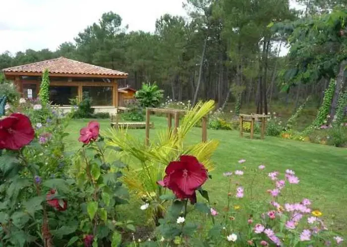 Camping 4 étoiles - Piscine - eebe0d Camping