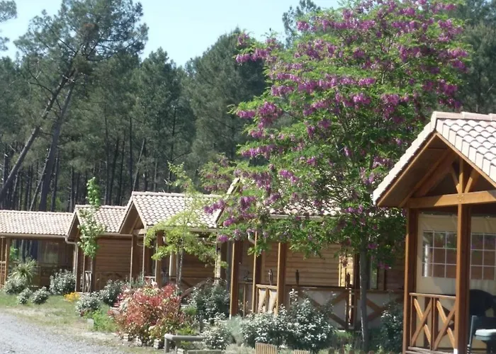 Camping 4 étoiles - Piscine - eebe0d Saint-Michel-Escalus